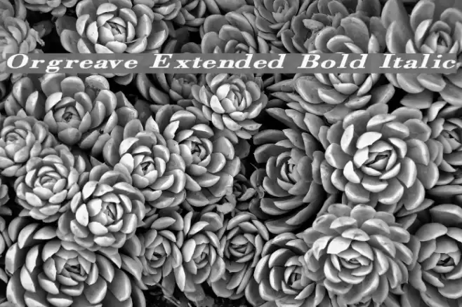 Orgreave Extended Bold Italic Font examples