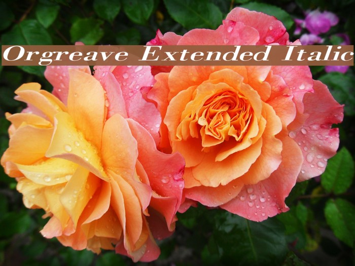 Orgreave Extended Italic Example 1