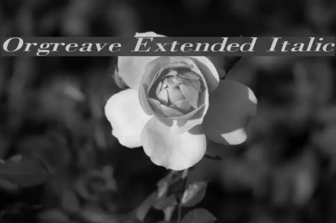 Orgreave Extended Italic Font examples