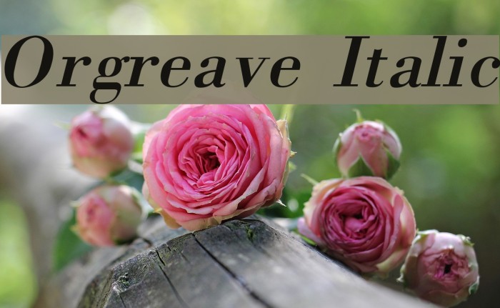 Orgreave Italic Font examples