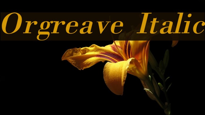 Orgreave Italic Font examples