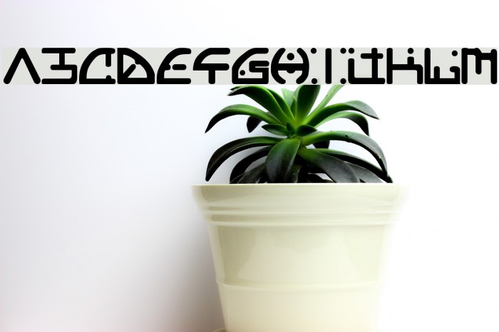 Orgy Font examples