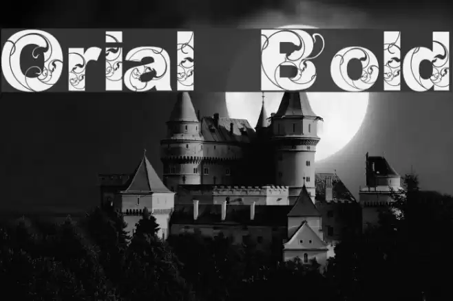 Orial_ Bold Font examples