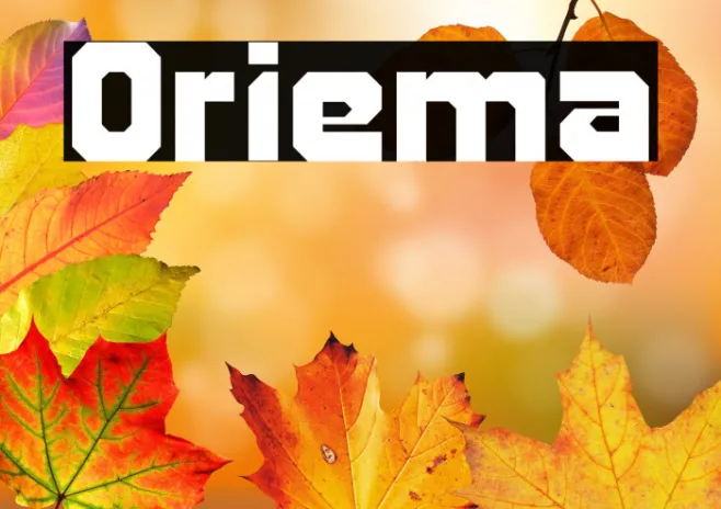 Oriema Example 2