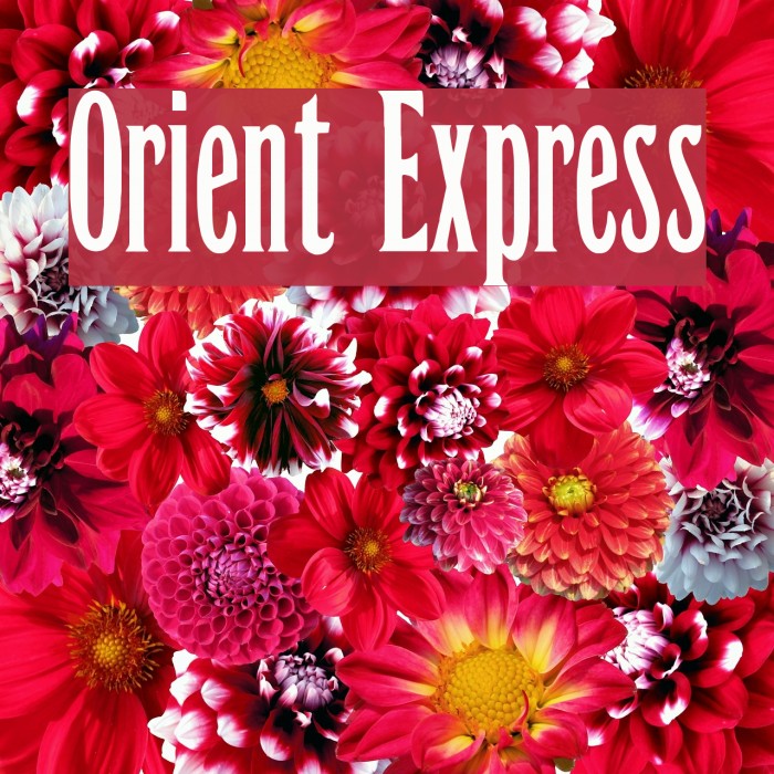 Orient Express Font examples