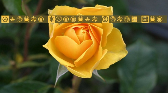 Orient Pattern Dings Set 2 Font examples