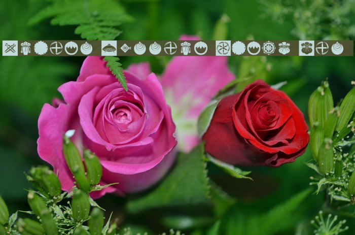Orient Pattern Dings Set 4 Font examples