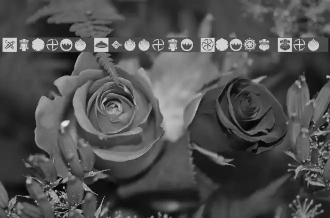 Orient Pattern Dings Set 4 Font examples