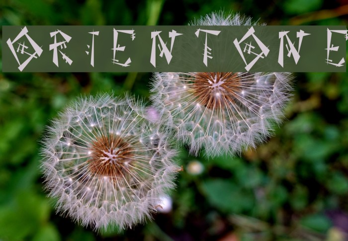 OrientOne Font examples