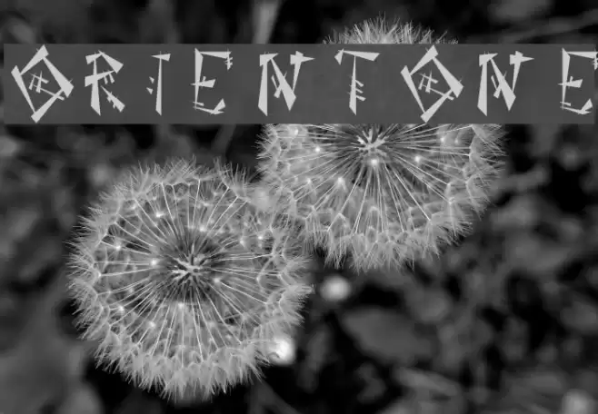 OrientOne Шрифта examples