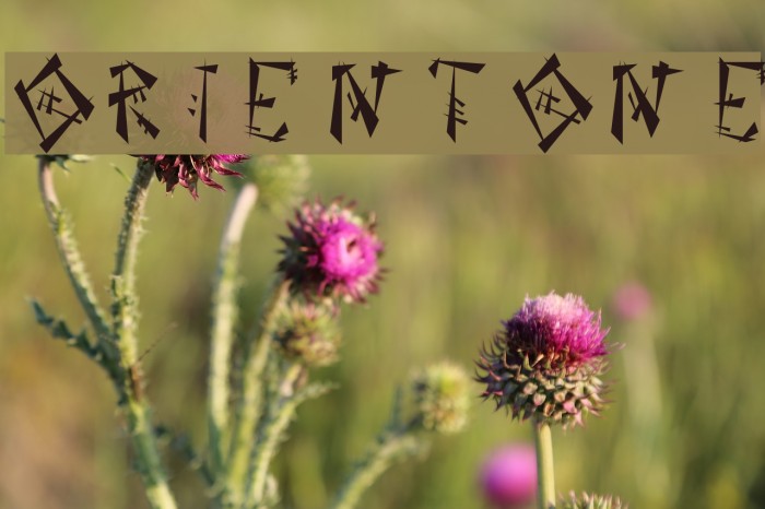 OrientOne Font examples