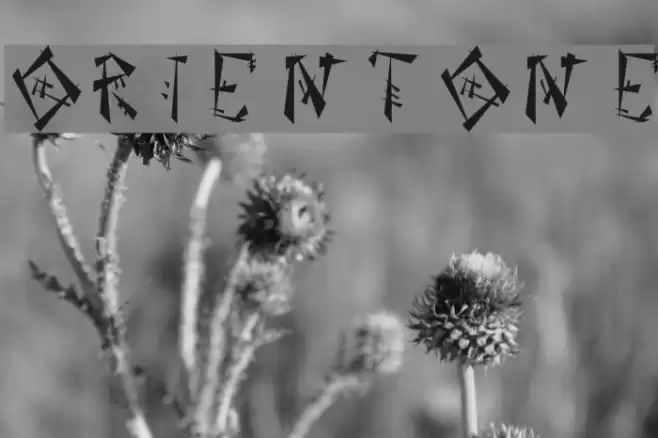 OrientOne Шрифта examples