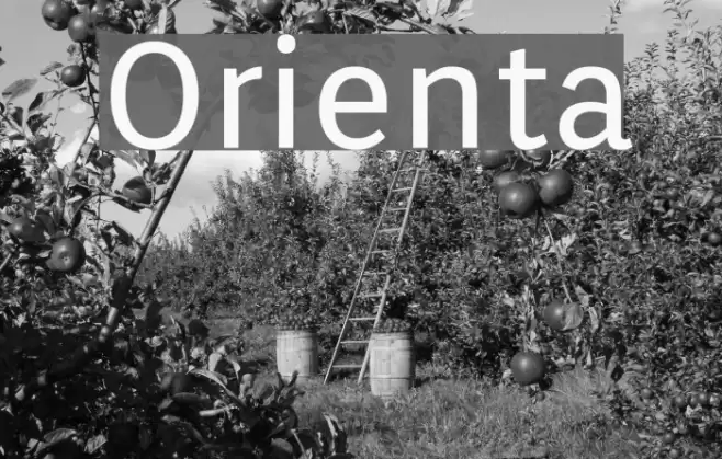 Orienta Font examples