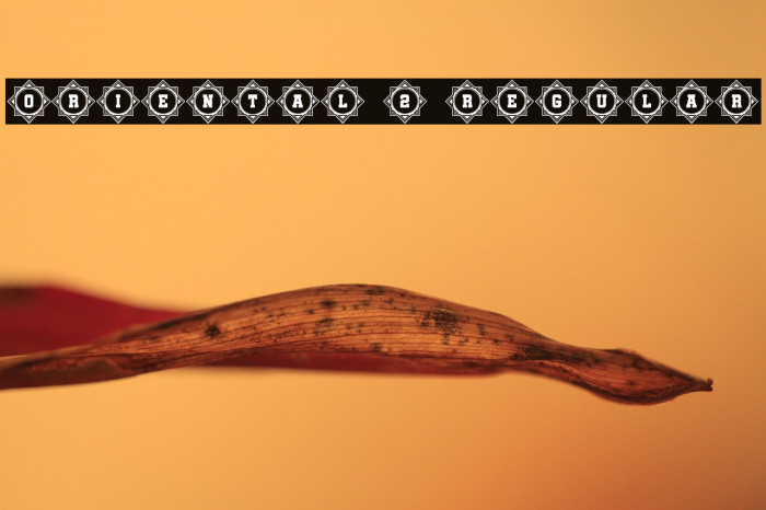 Oriental 2 Regular Example 3