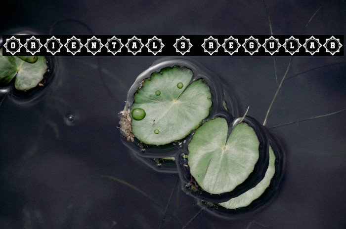 Oriental 3 Regular Example 1