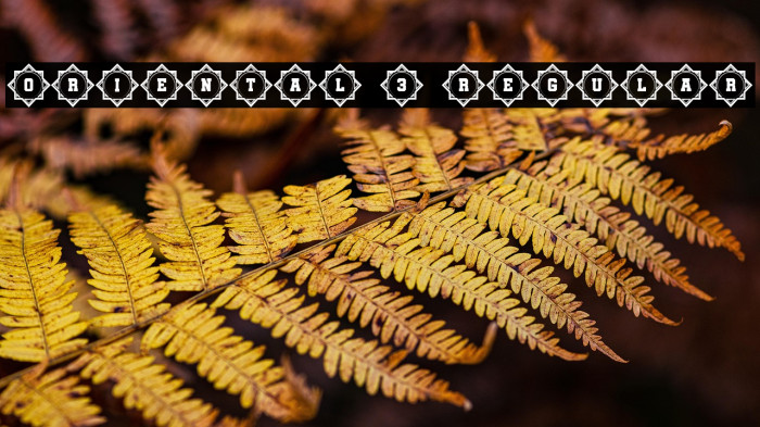 Oriental 3 Regular Example 2