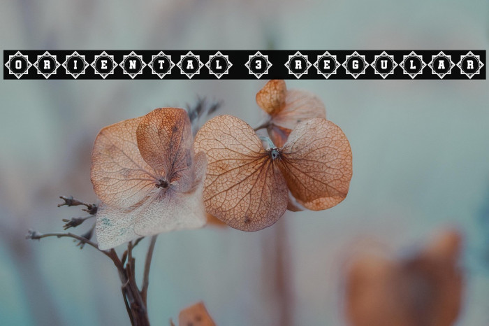 Oriental 3 Regular Example 3