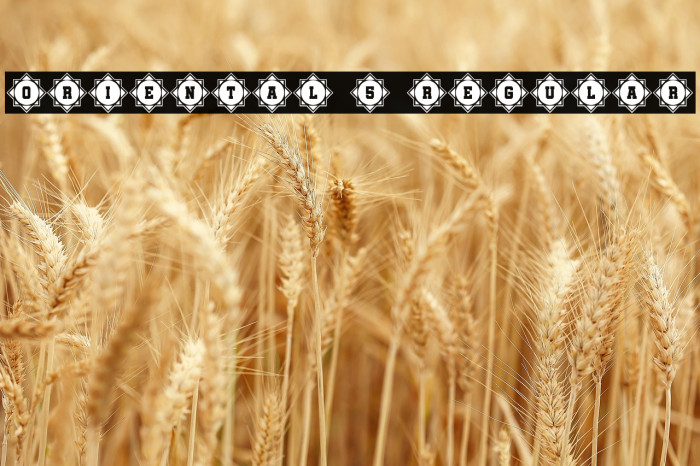 Oriental 5 Regular Example 2