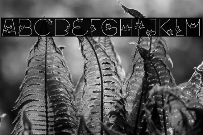 Oriental Cats Light Font examples