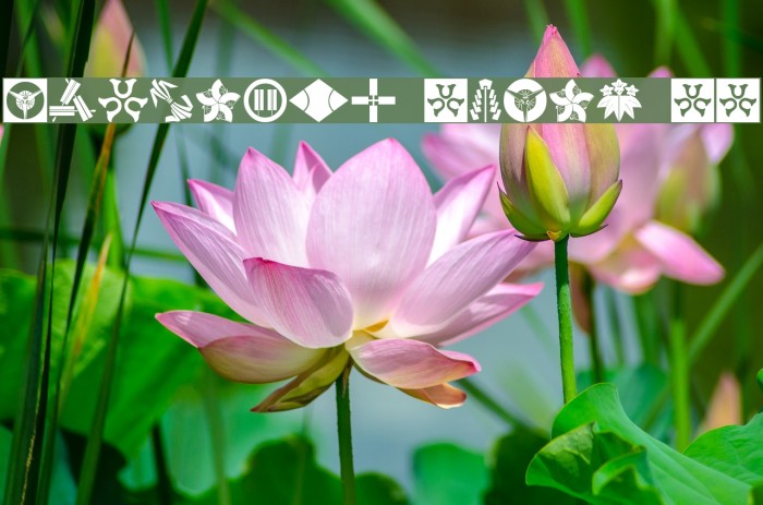 Oriental Icons II Font examples