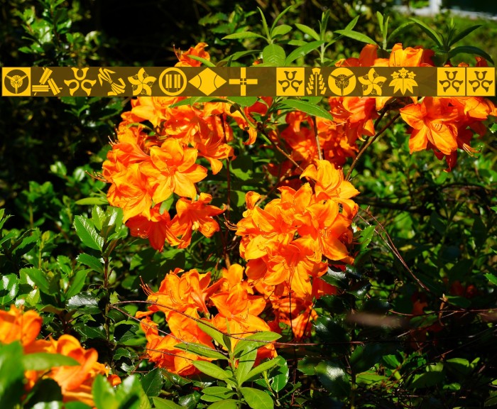 Oriental Icons II Font examples