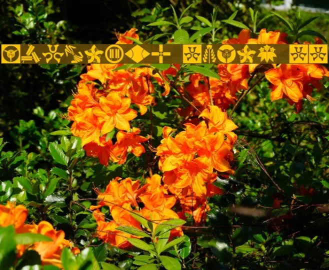 Oriental Icons II Example 3