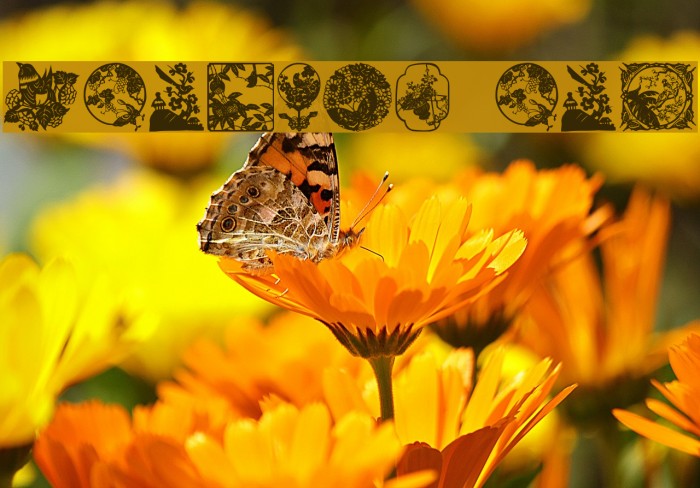 Oriental View Example 1