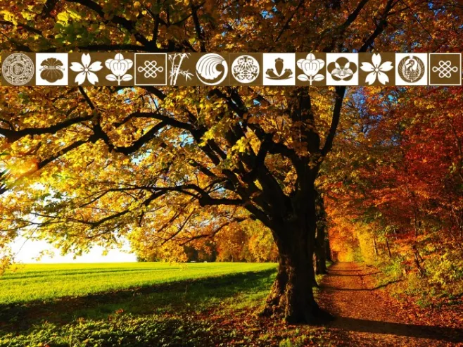 OrientalDesign Example 1