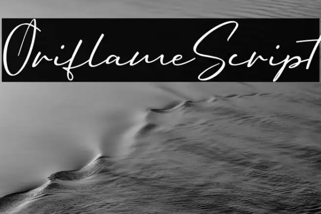 OriflameScript フォント examples