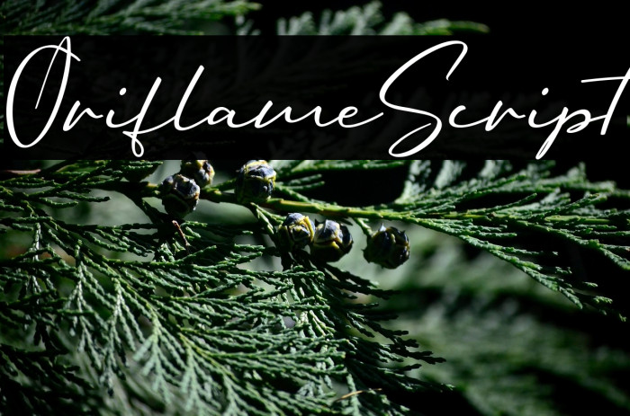 OriflameScript Example 2