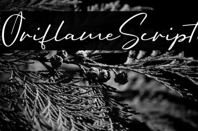 OriflameScript フォント examples