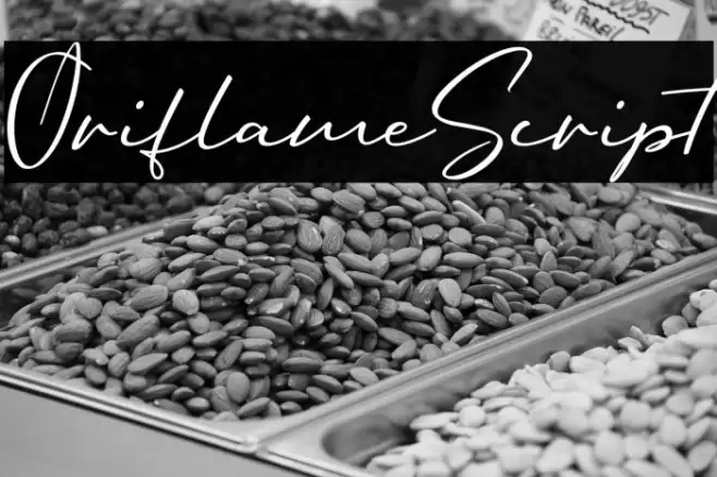 OriflameScript フォント examples