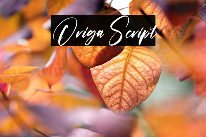 Origa Script Example 1