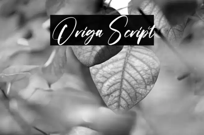 Origa Script Font examples