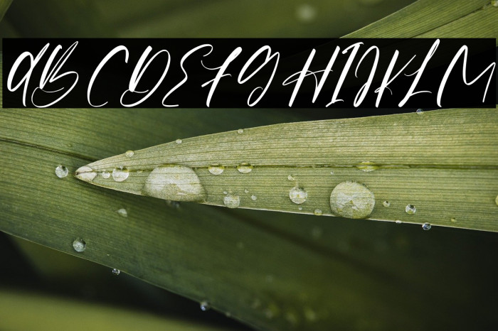 OrigaScript-Regular Example 3