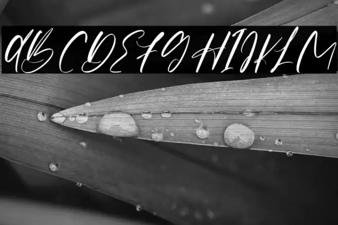 OrigaScript-Regular خط examples