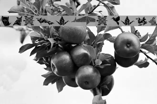 OrigamiBats Font examples