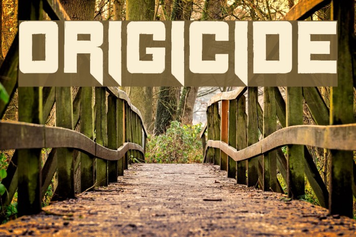 Origicide Font examples