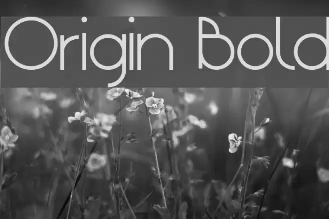 Origin Bold Font examples