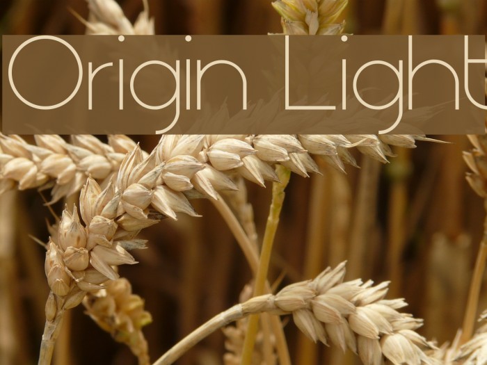 Origin Light Font examples