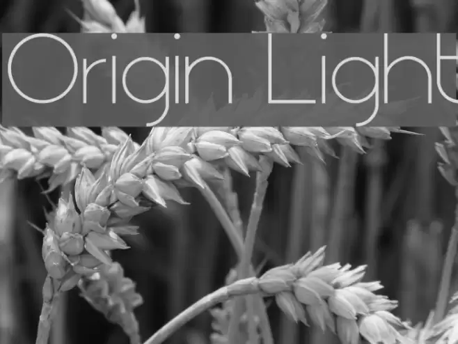 Origin Light خط examples