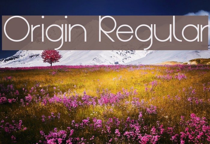 Origin Regular Font examples