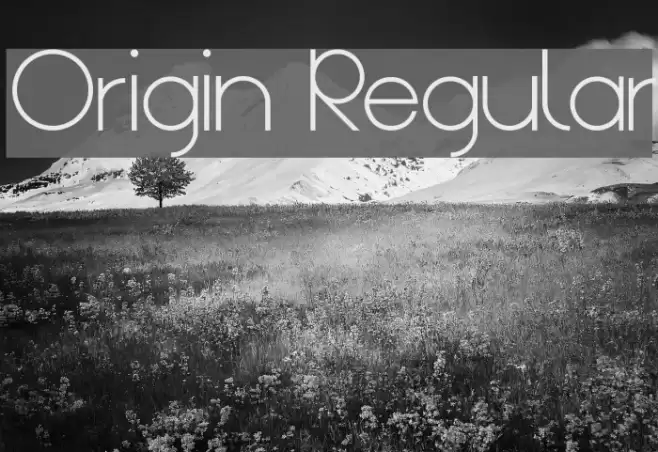 Origin Regular Font examples
