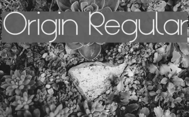 Origin Regular Font examples