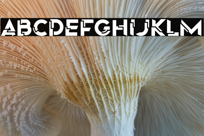 Origin Tech Demo Example 1