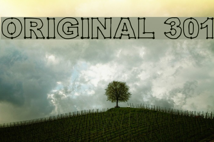 Original 301 Font examples