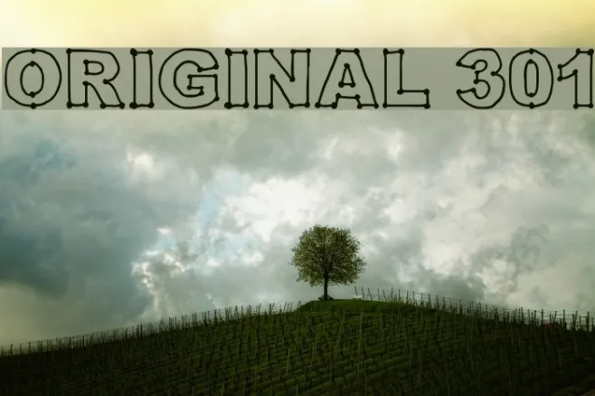 Original 301 Example 1