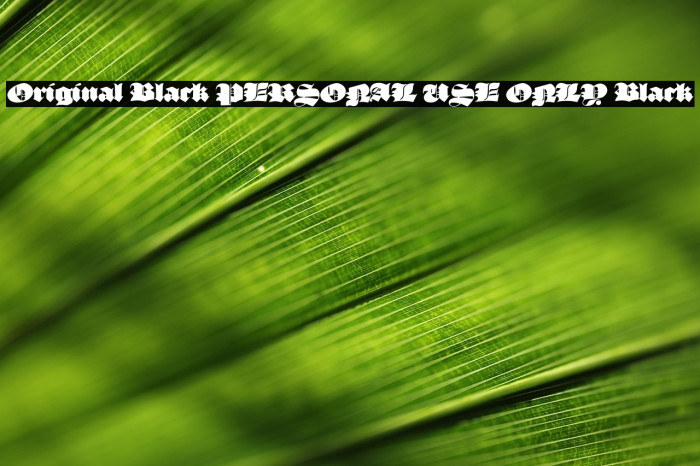 Original Black PERSONAL USE ONLY Black Example 2