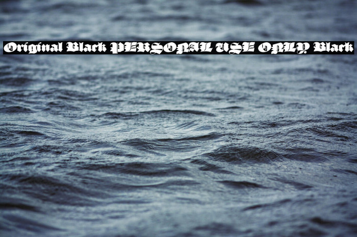 Original Black PERSONAL USE ONLY Black Example 3