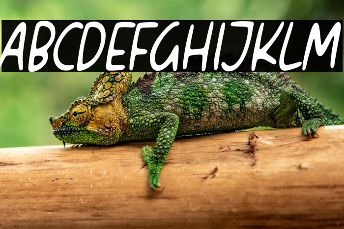 Original Quotes Example 3